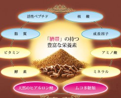 【臍帯サプリ】母の滴 臍帯100の特徴